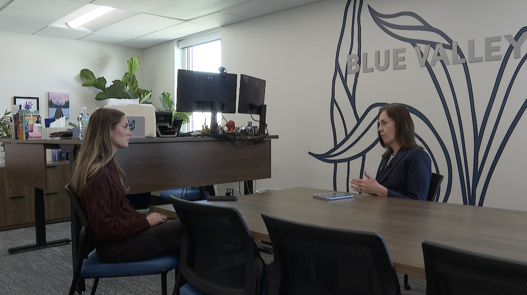 Blue Valley Schools Superintendent Gillian Chapman