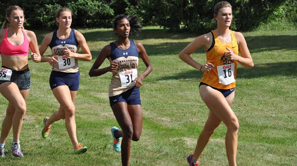 MSUB Cross Country