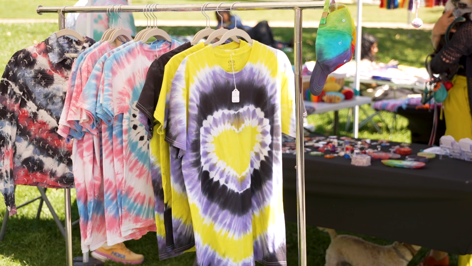 TRANS PRIDE VO.mp4.00_00_47_26.Still002.png