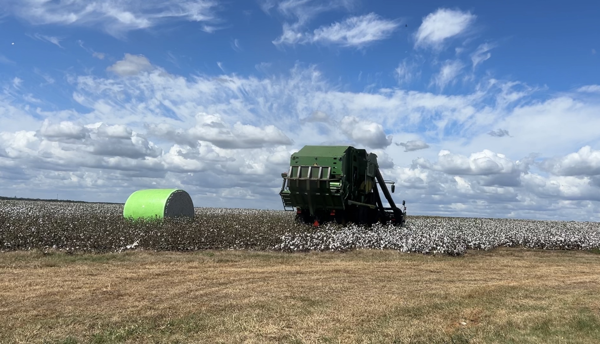 South Georgia farmers face rising financial pressure as bankruptcies increase