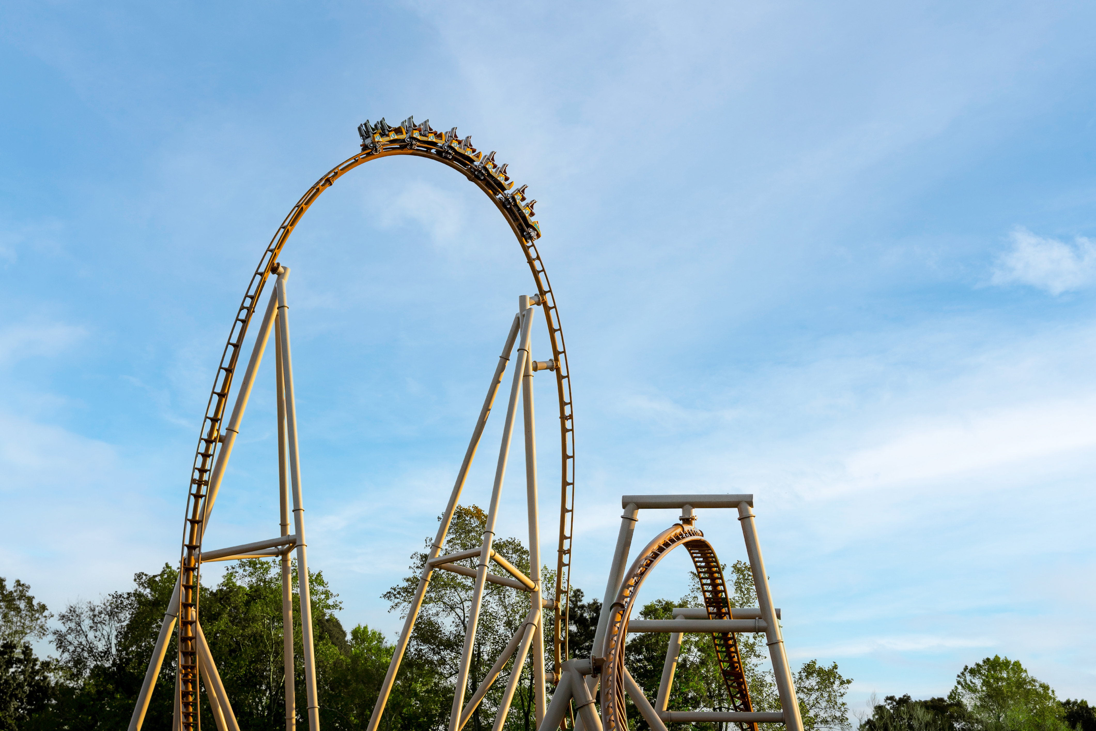 BGW_22_Pantheon_Top Hat.jpg