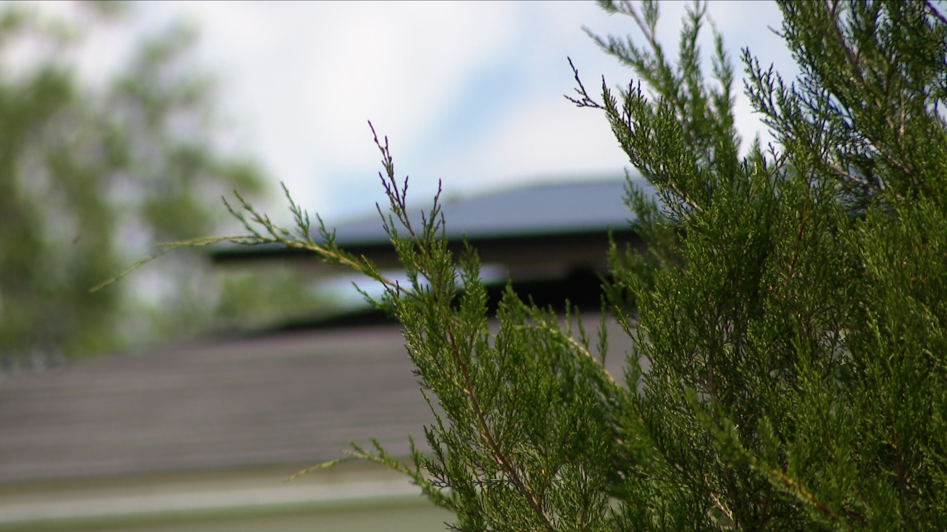 Solar panel complaints