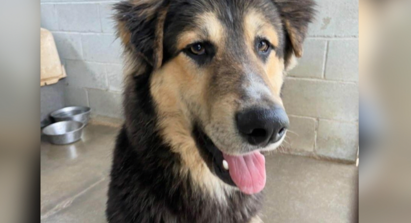 Screen Shot 2023-03-09 at 8.27.17 AM.png