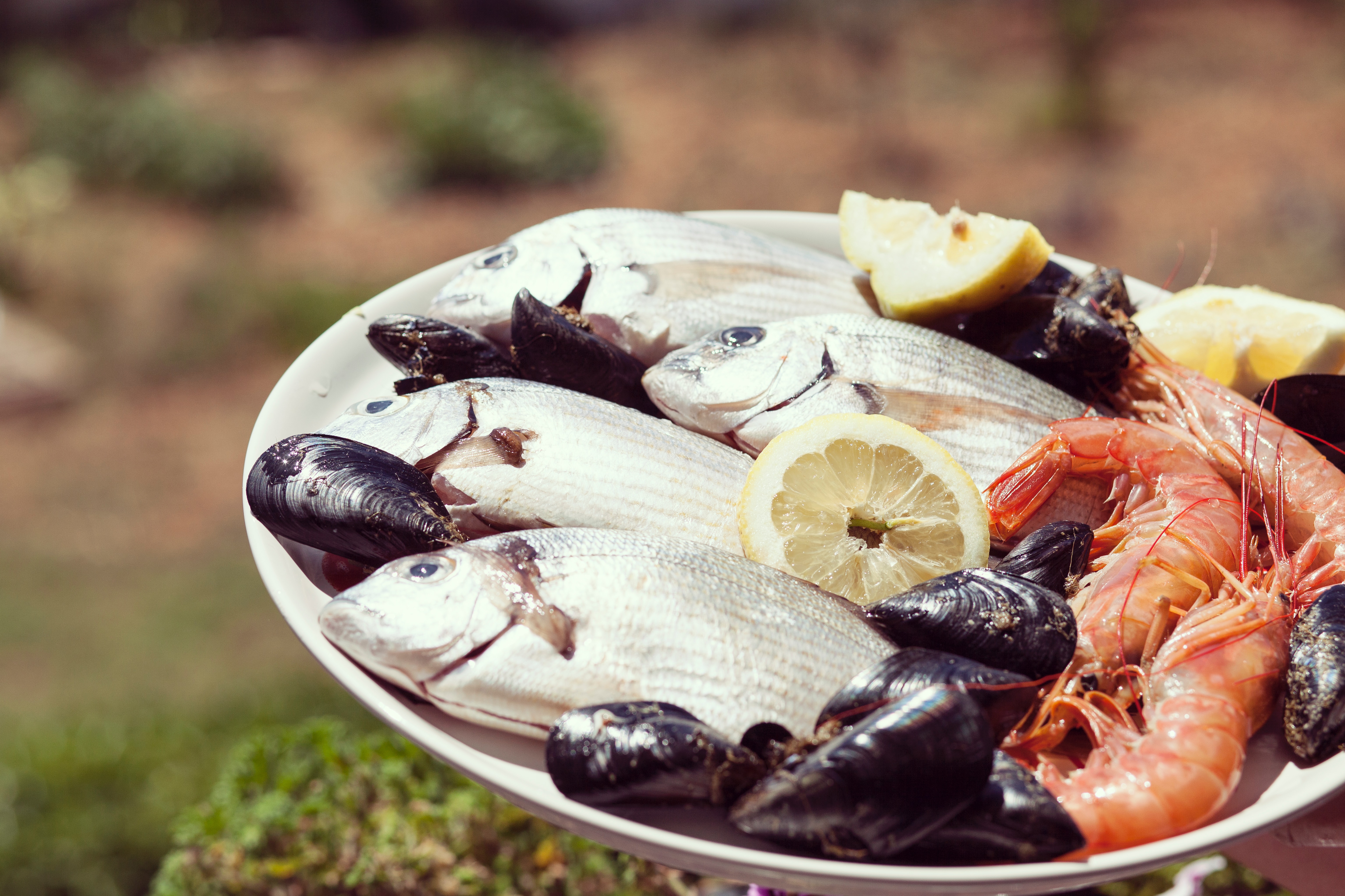 Seafood 2