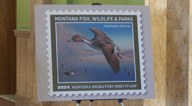 2024 Bird Stamp.png