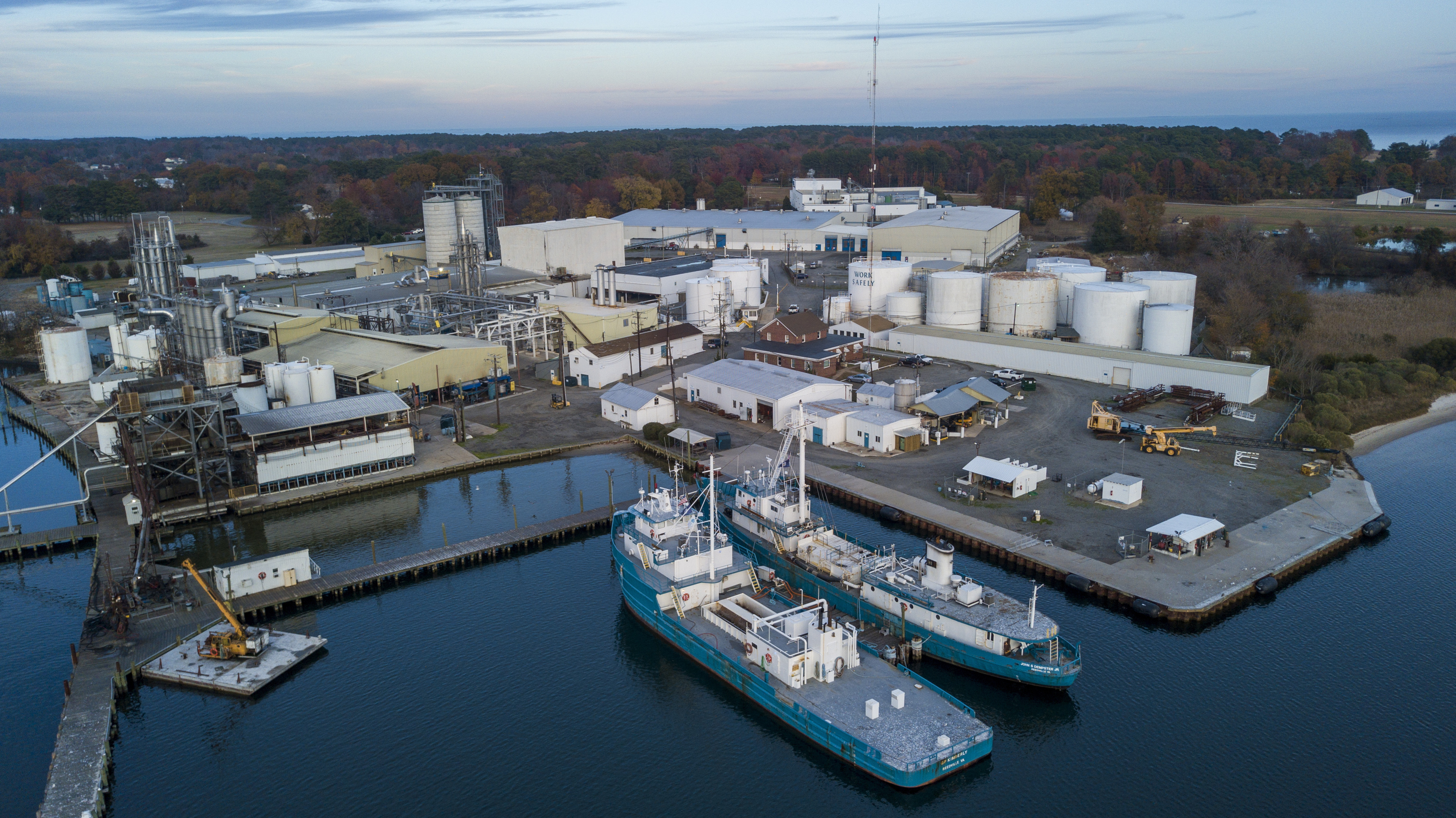 CORRECTION Menhaden Rise and Fall