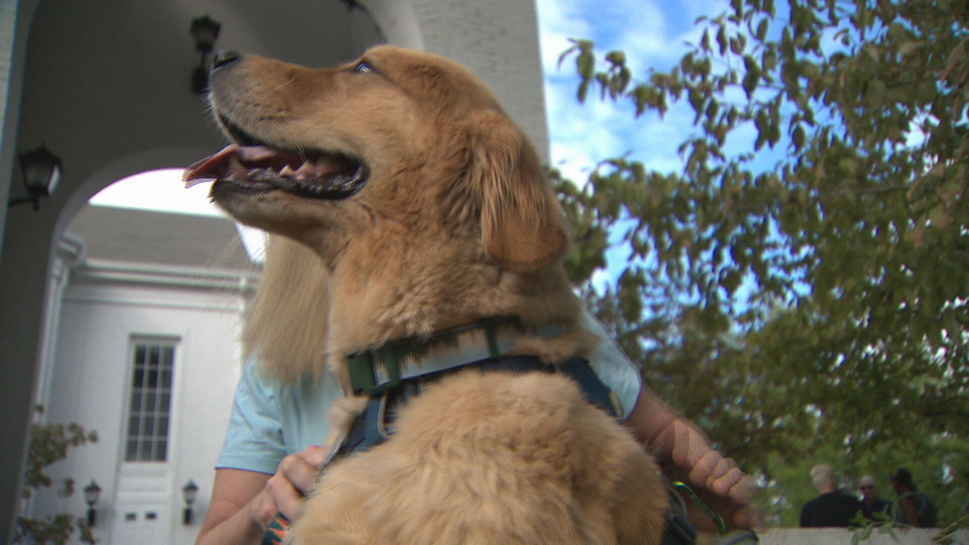 Blessing of the Animals_frame_53680.jpeg