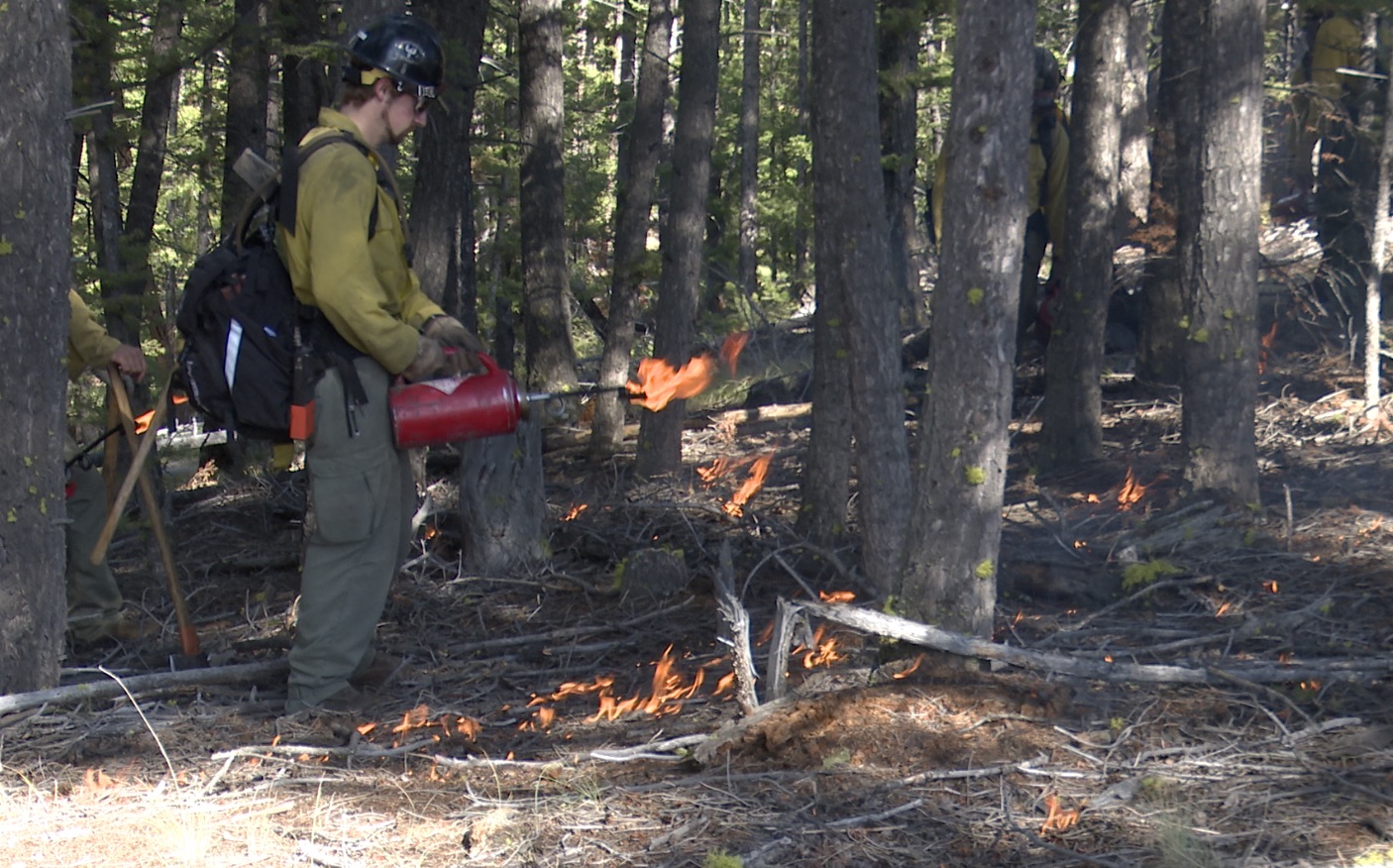 Forest service burning 1,000 acres south of Butte to control wildfires - Vimarsana News