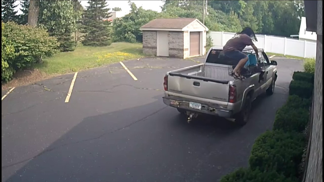 South Haven Animal Cruelty Investigation