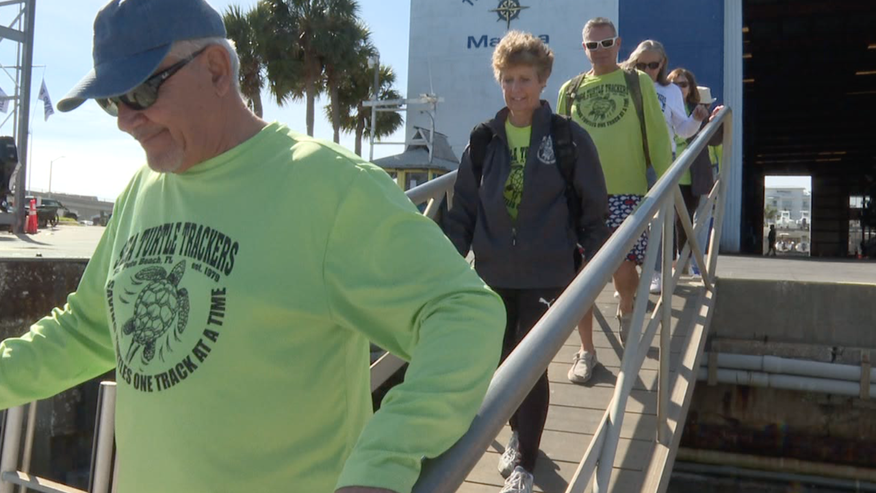 sea turtle tracker.png