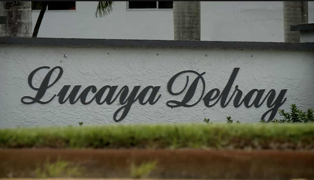 LUCAYA.png