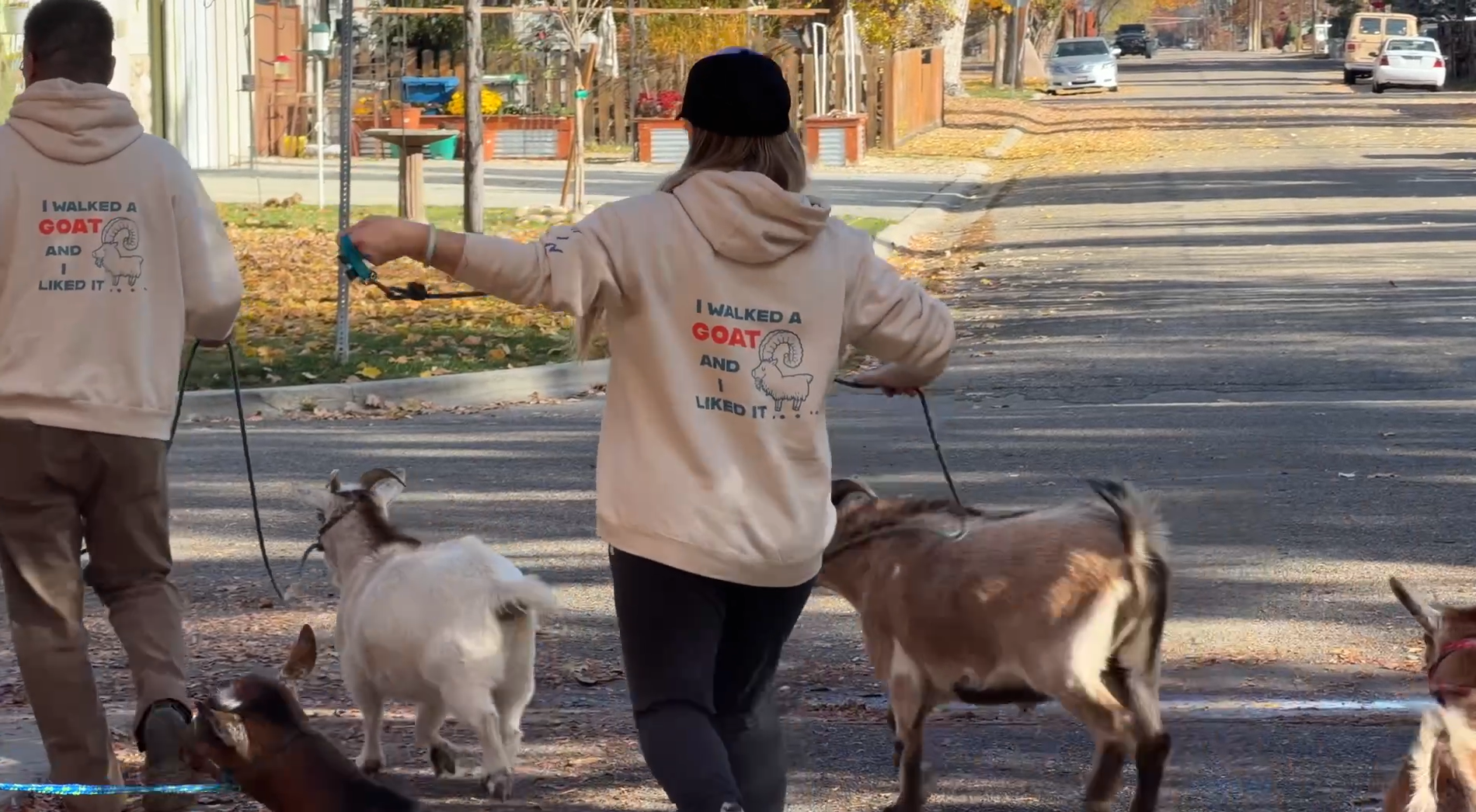 Goat walking 1.png