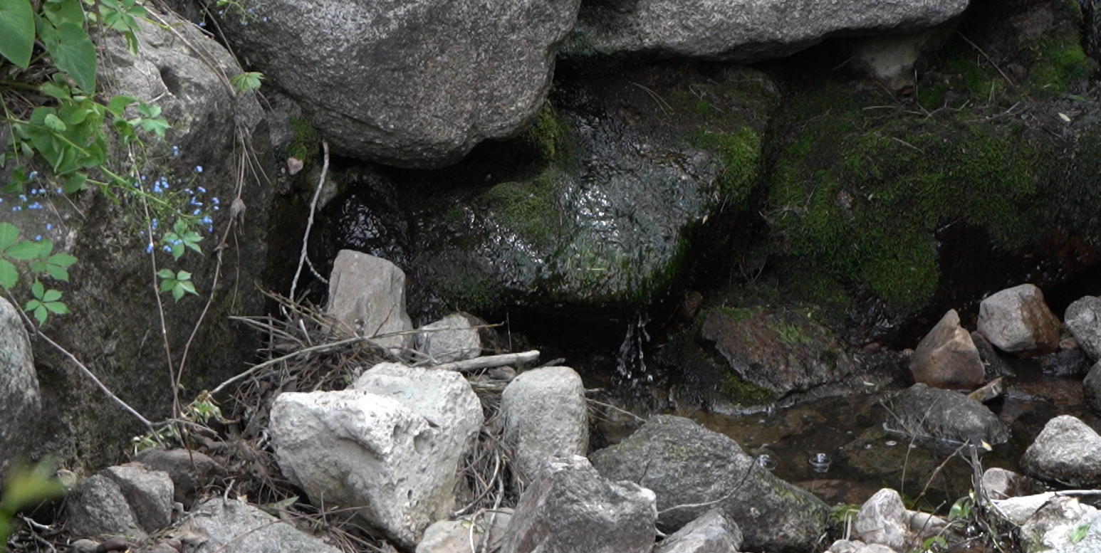 gregory creek.png