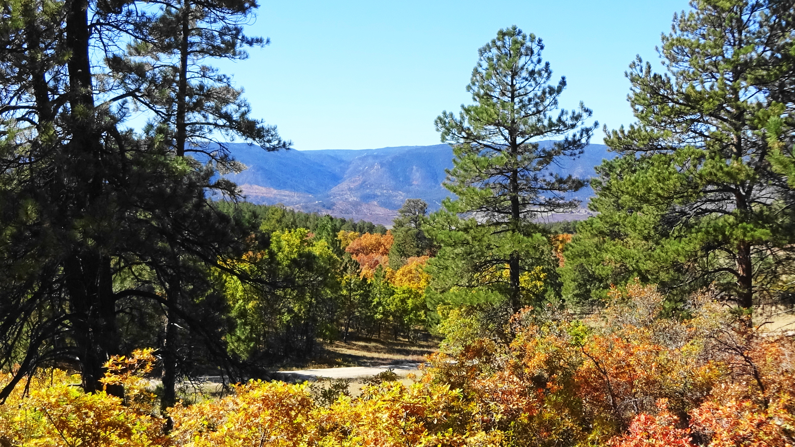 Dawson Butte Ranch Open Space Trail Linda Watkins