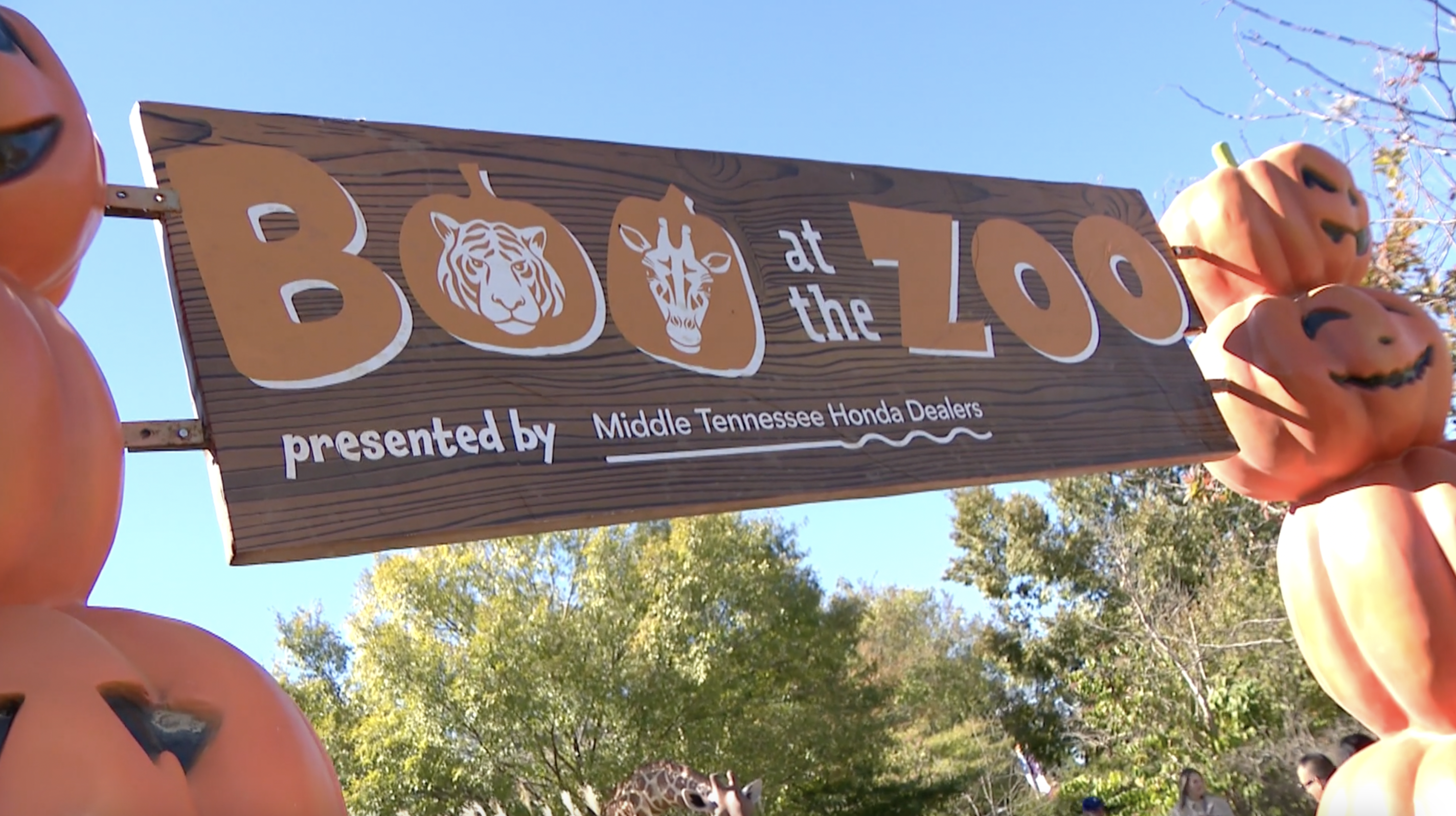 Boo at the Zoo Nashville Zoo