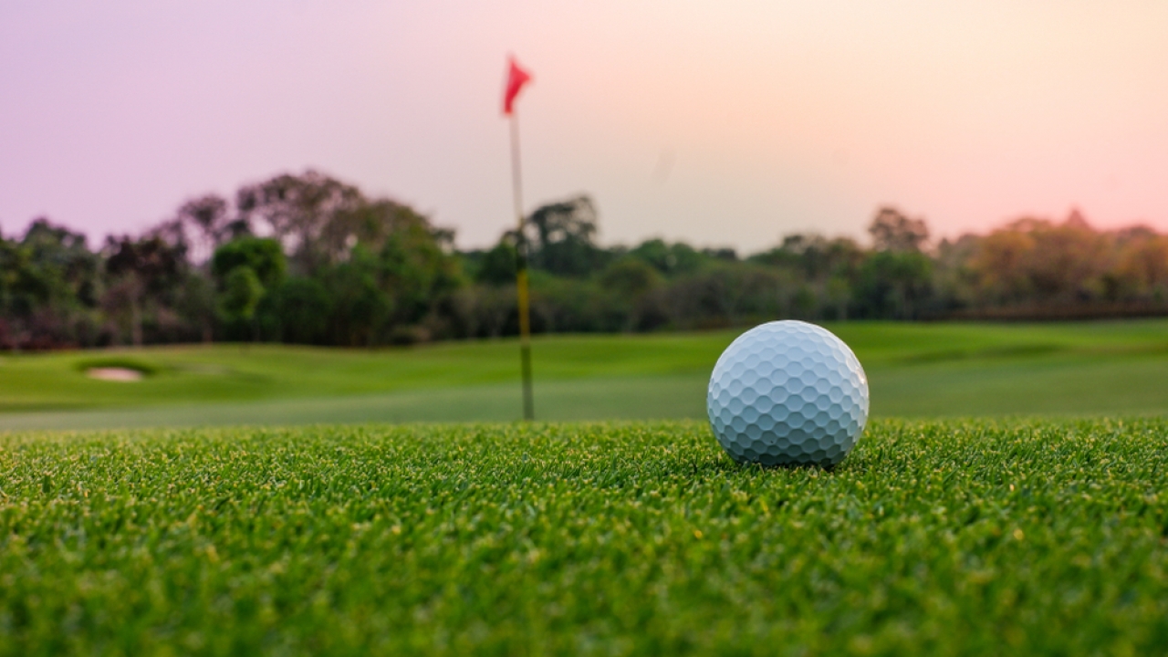 Golf ball sits on green.
