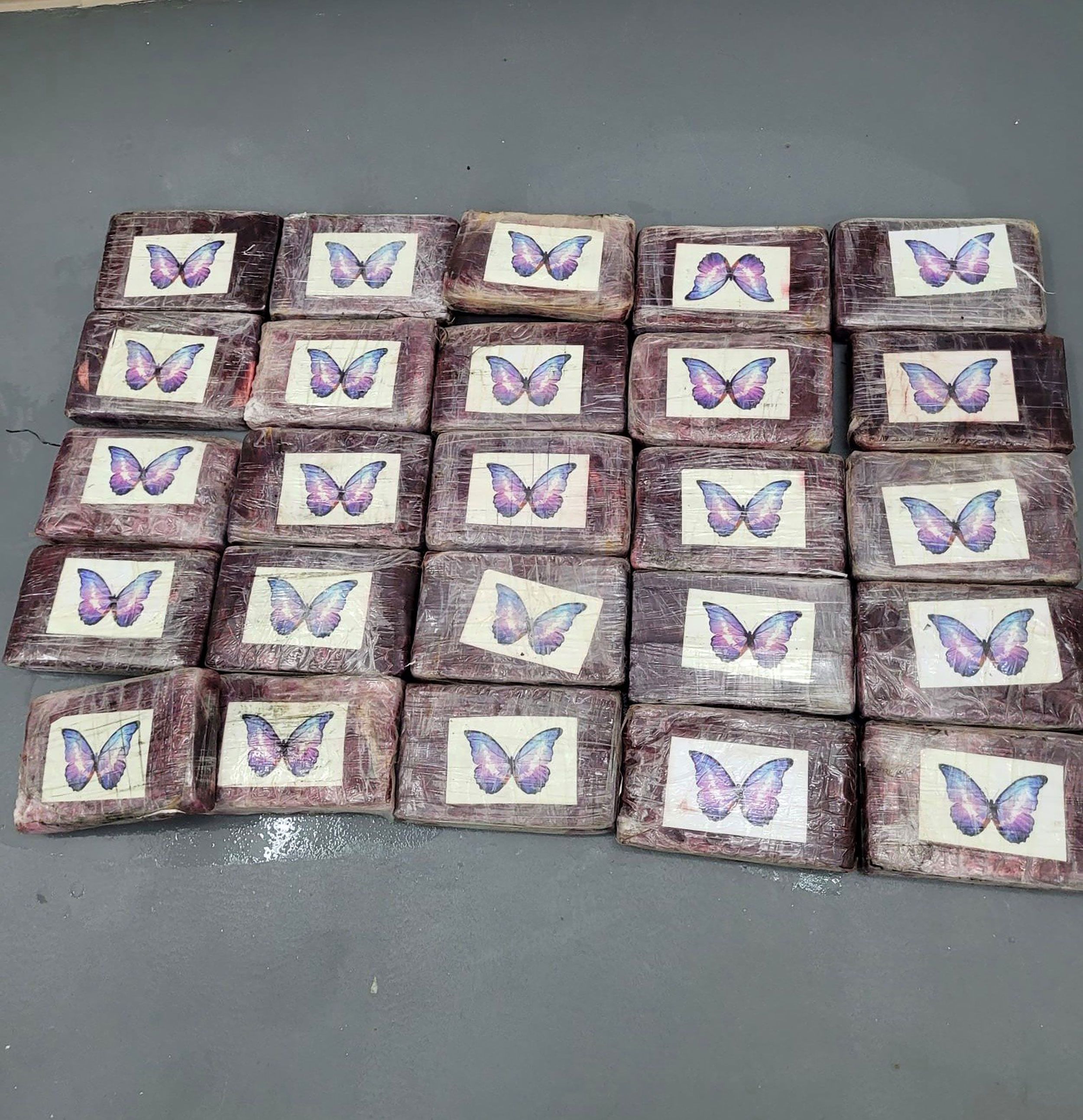 Cocaine found by Jane Castor