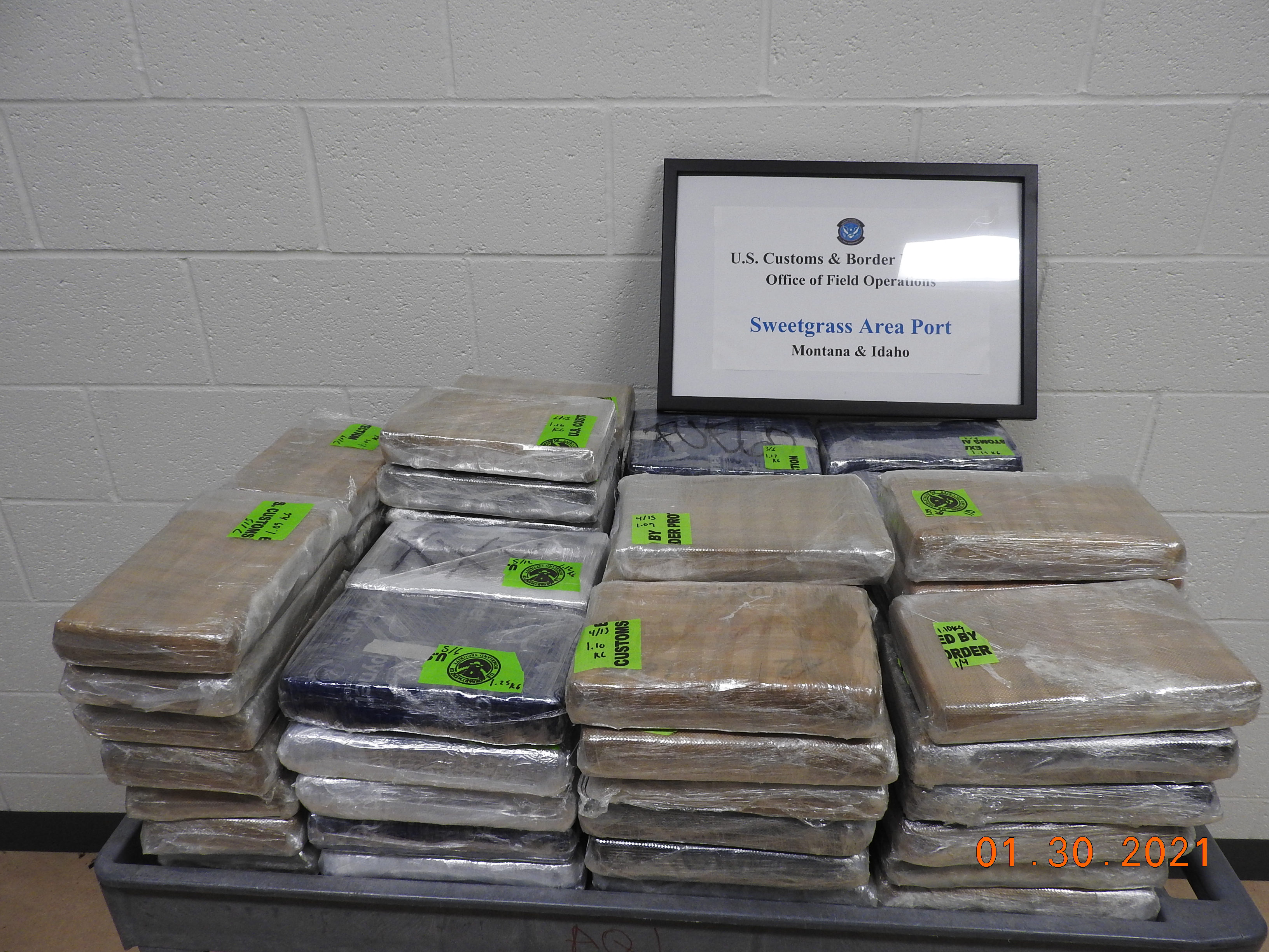 cocaine seizure.JPG