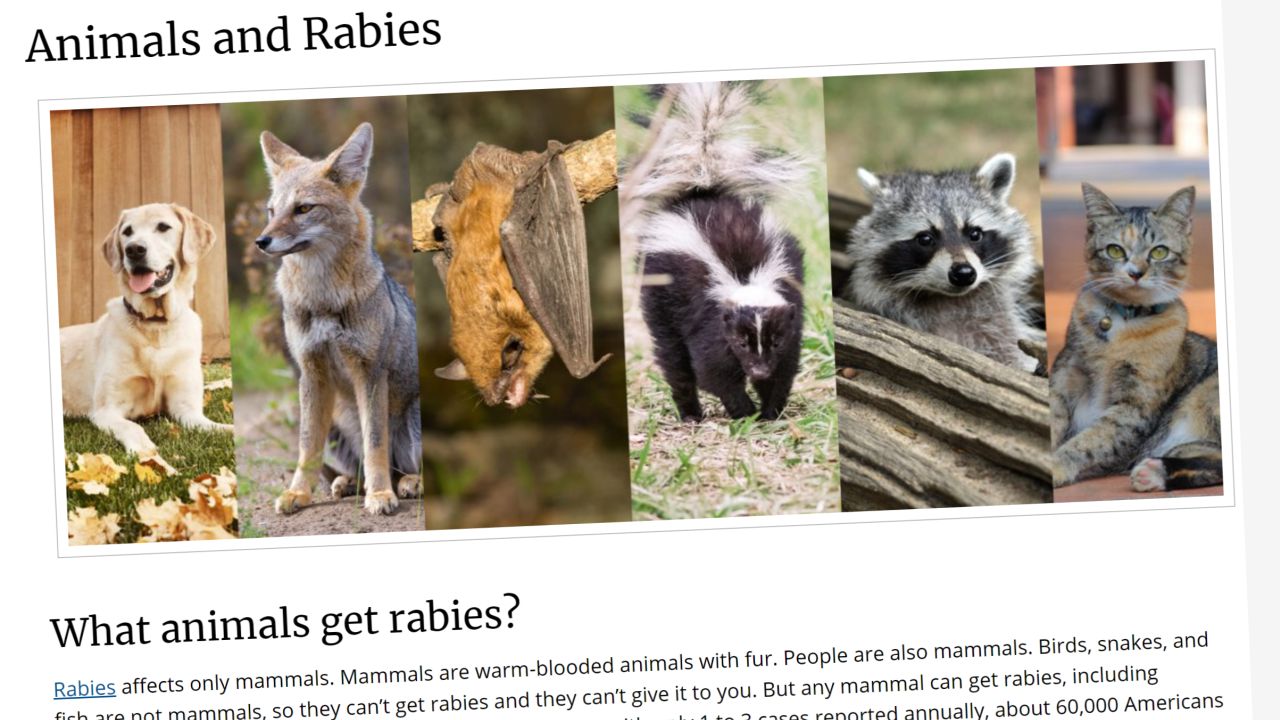 Rabies 2021