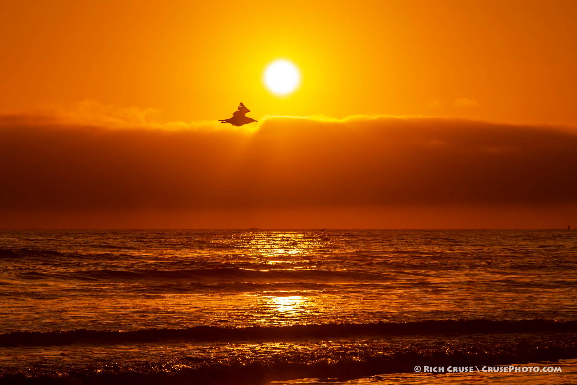 oceanside sunset.jpeg