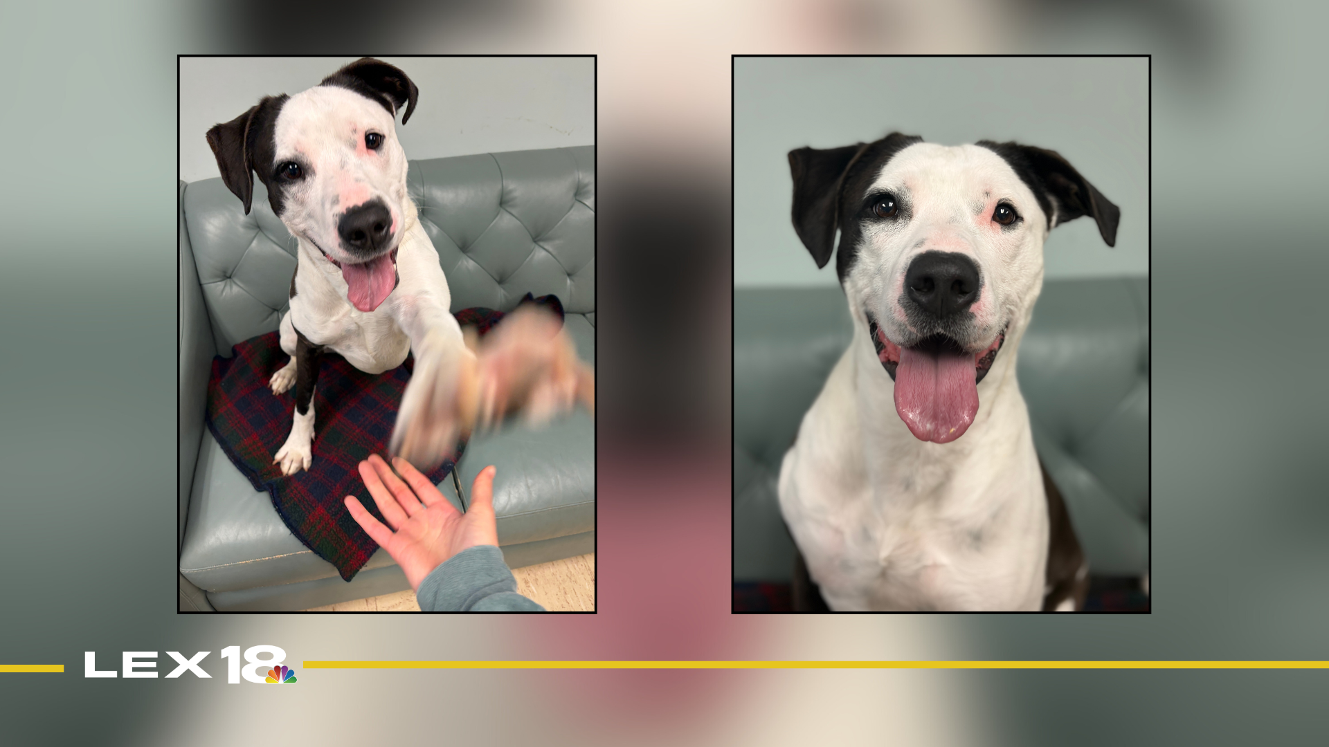 Featured Image Custom Edit (3).png