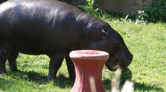 Screenshot 2025-09-11 at 5.50.05 PM.png