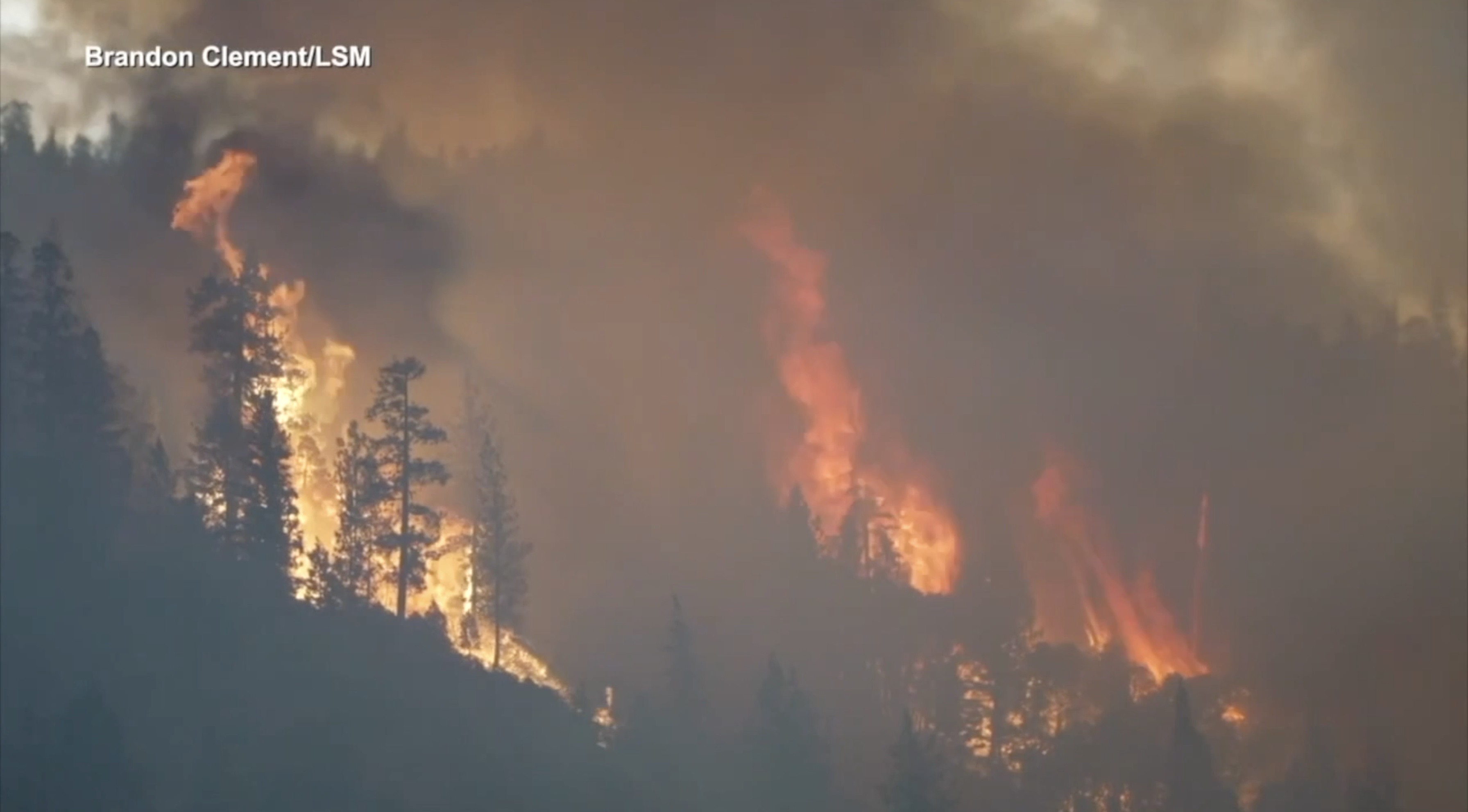 Northern Michigan Wildfire