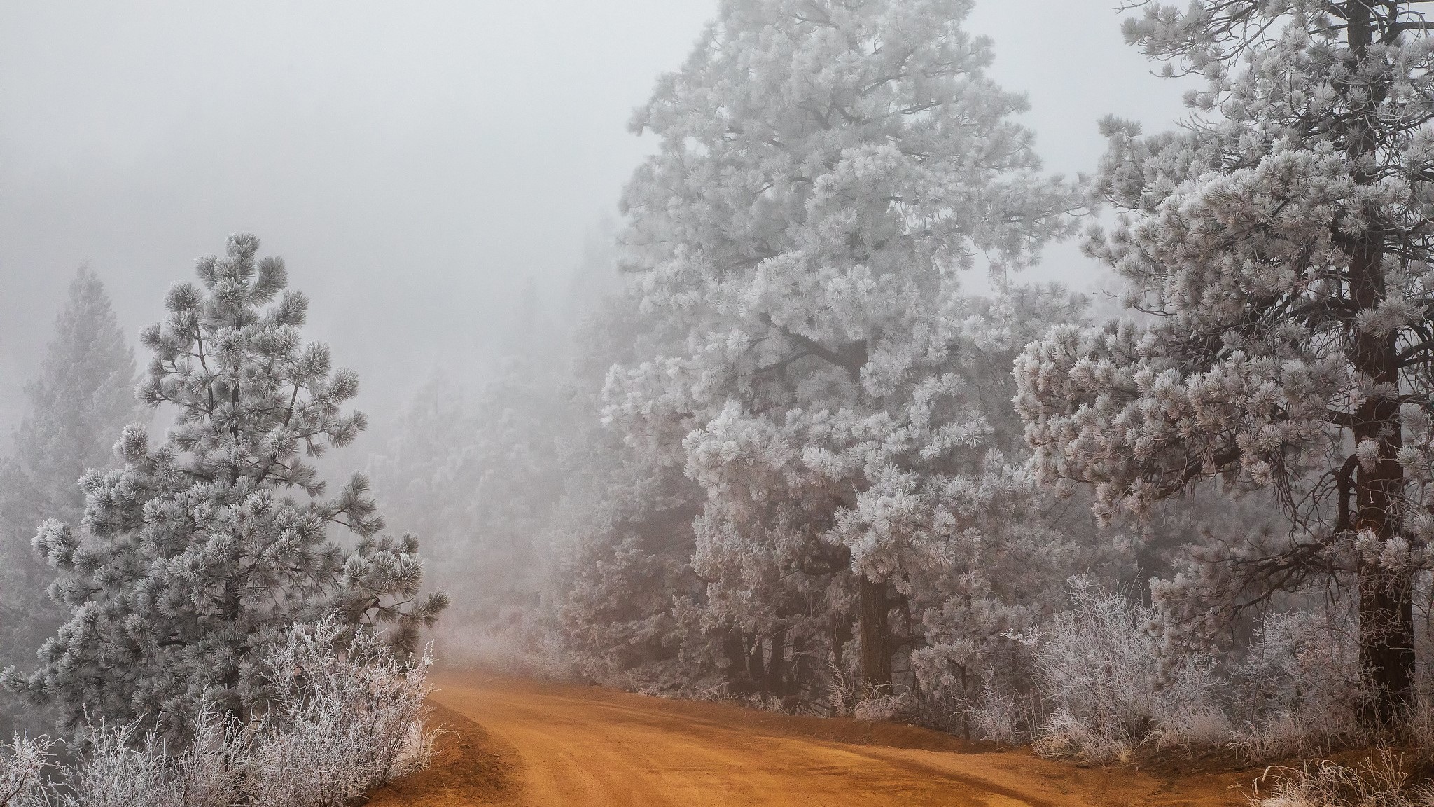 Bruce Hausknecht  N Cheyenne Canyon