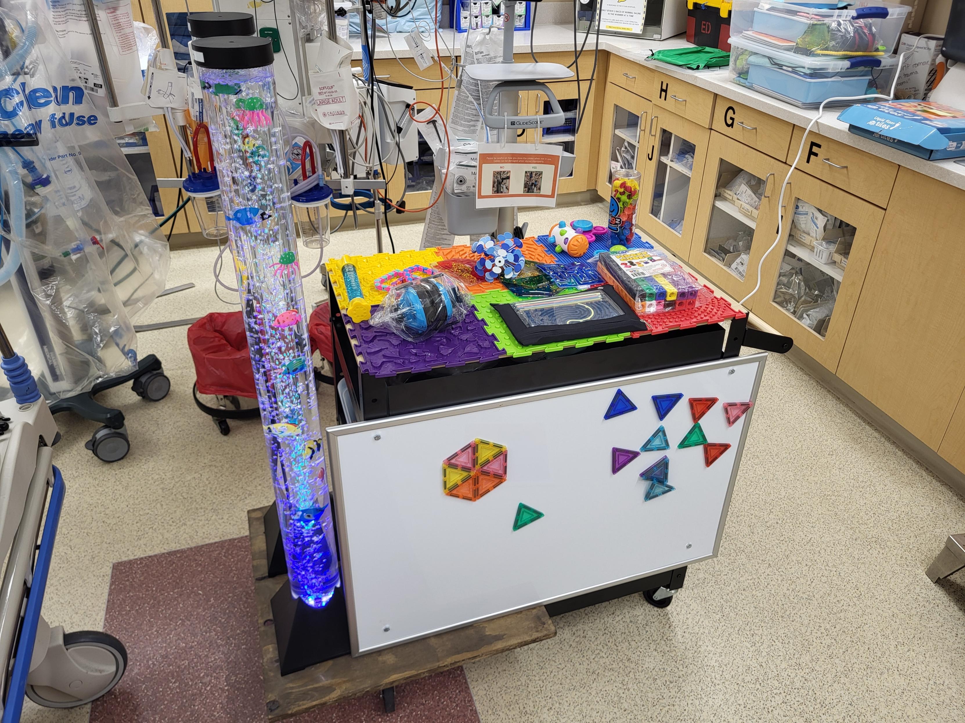 Riverside Regional autism cart