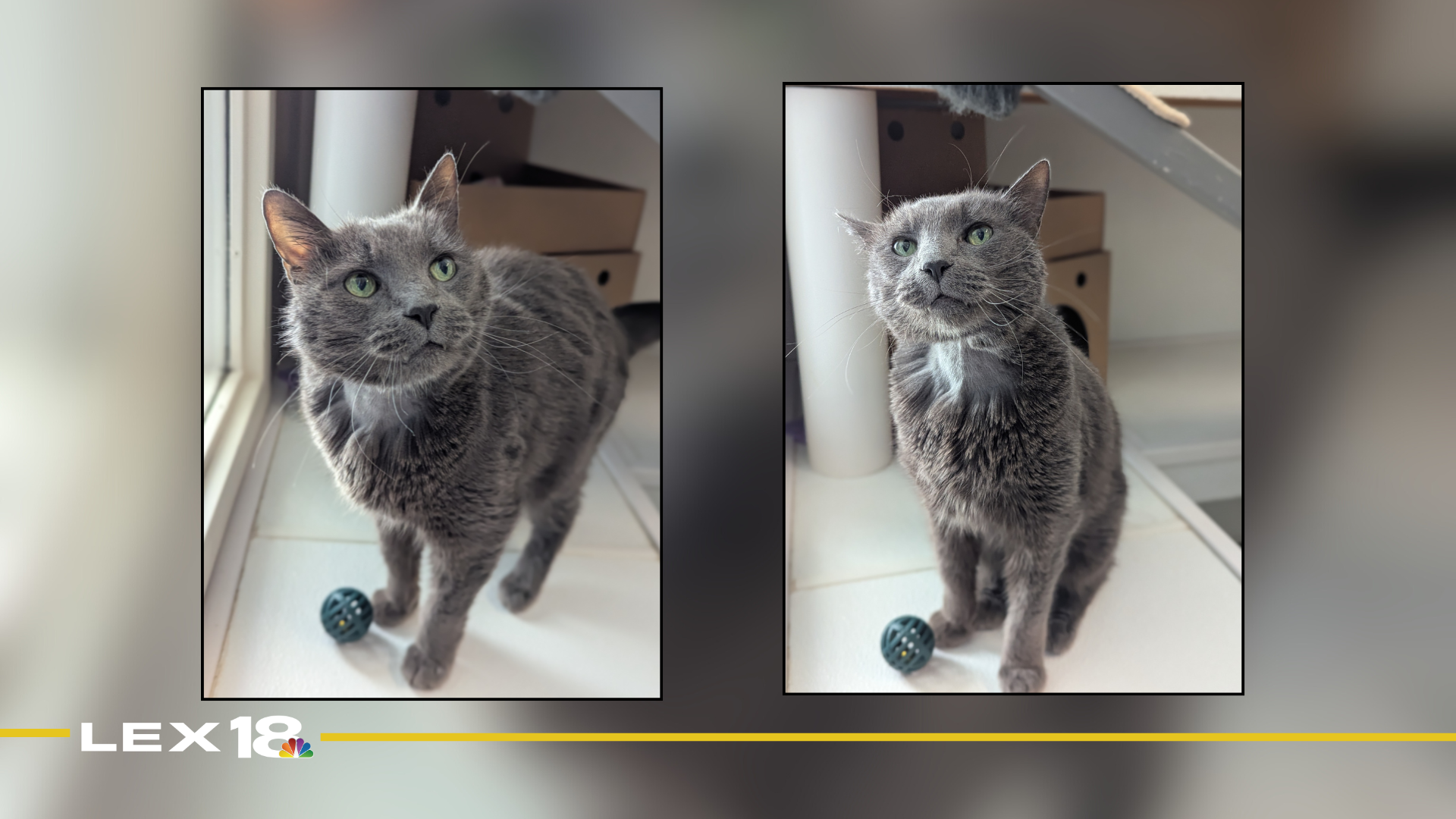 Featured Image Custom Edit (23).png