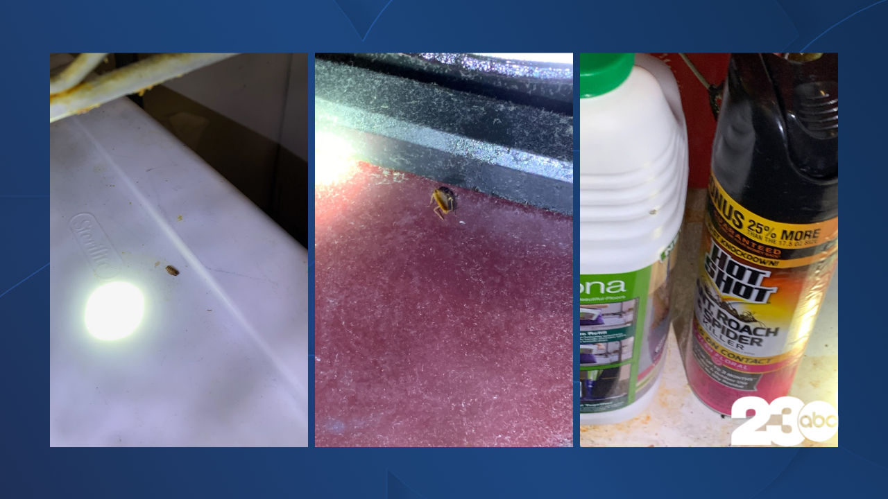 Bangkok House Restaurant in Ridgecrest closed over health inspection violations