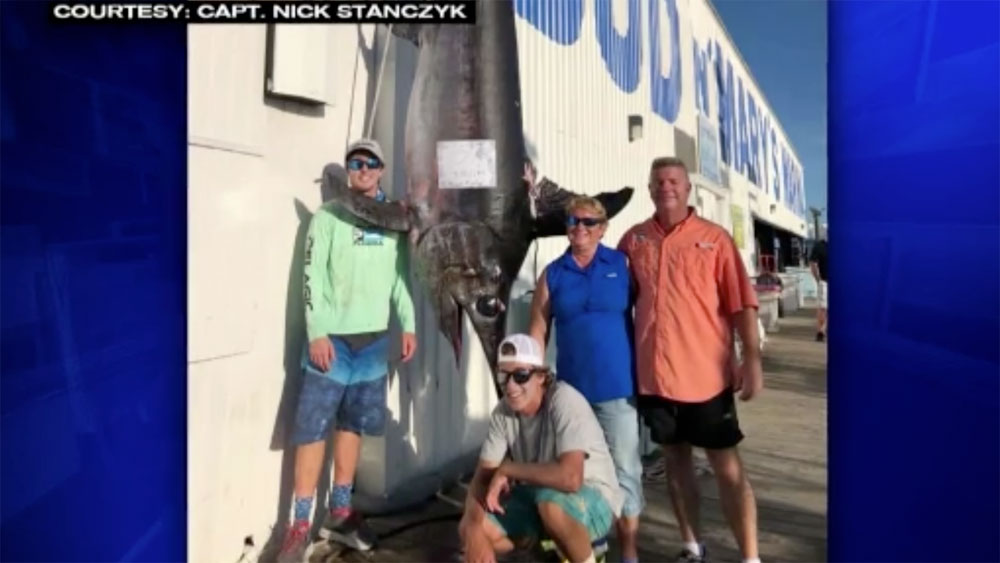 wptv-swordfish-caught-off-keys.jpg
