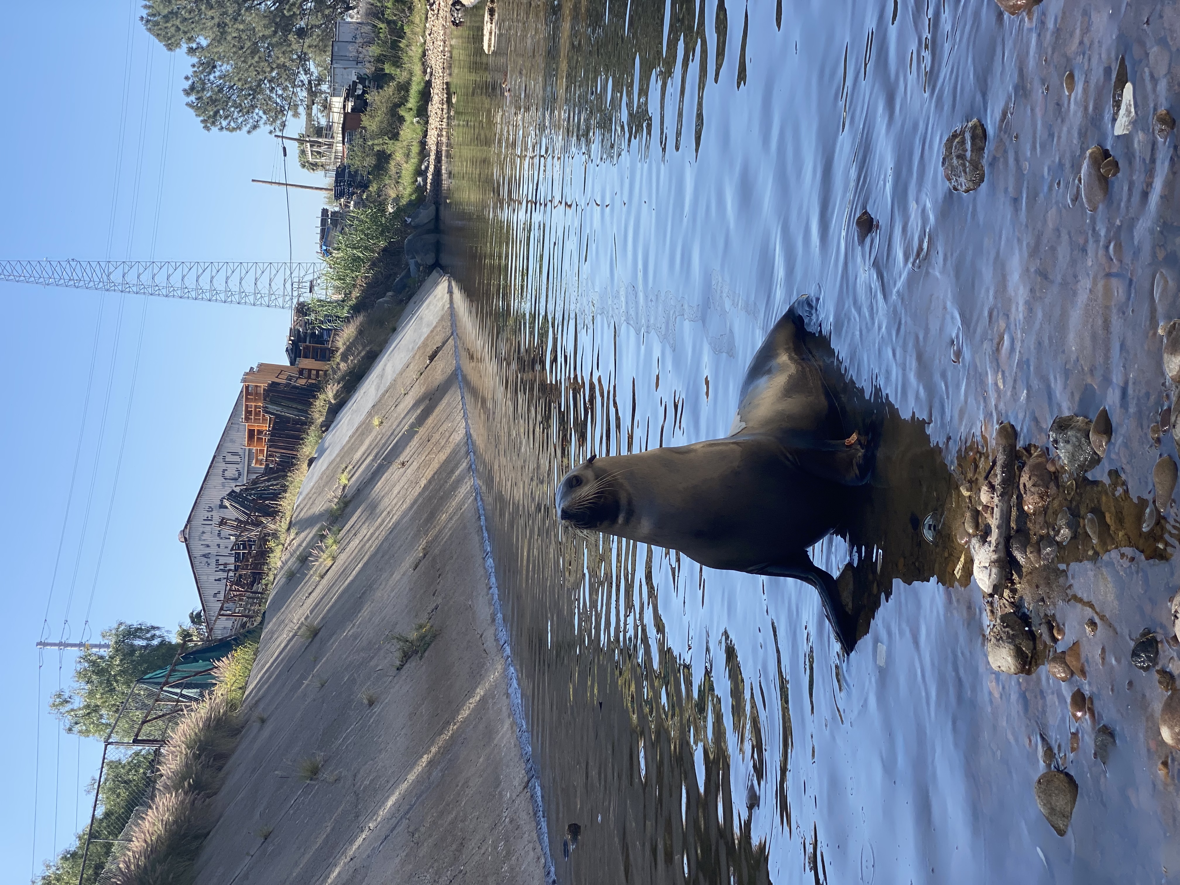 image00002.jpeg