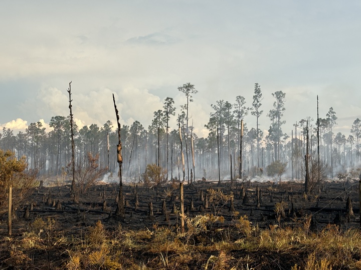 brush fire