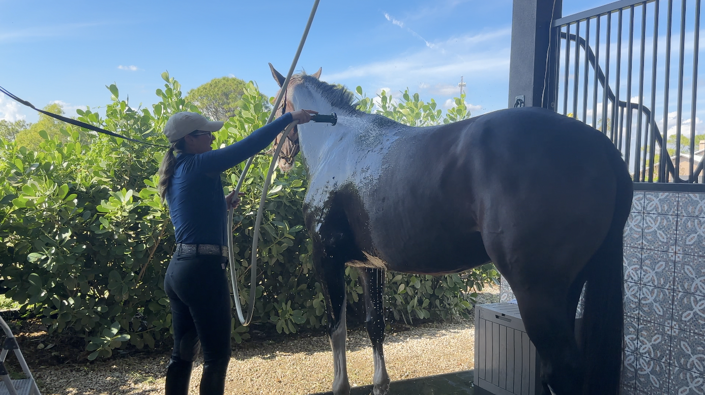 Kilmer washing her horse