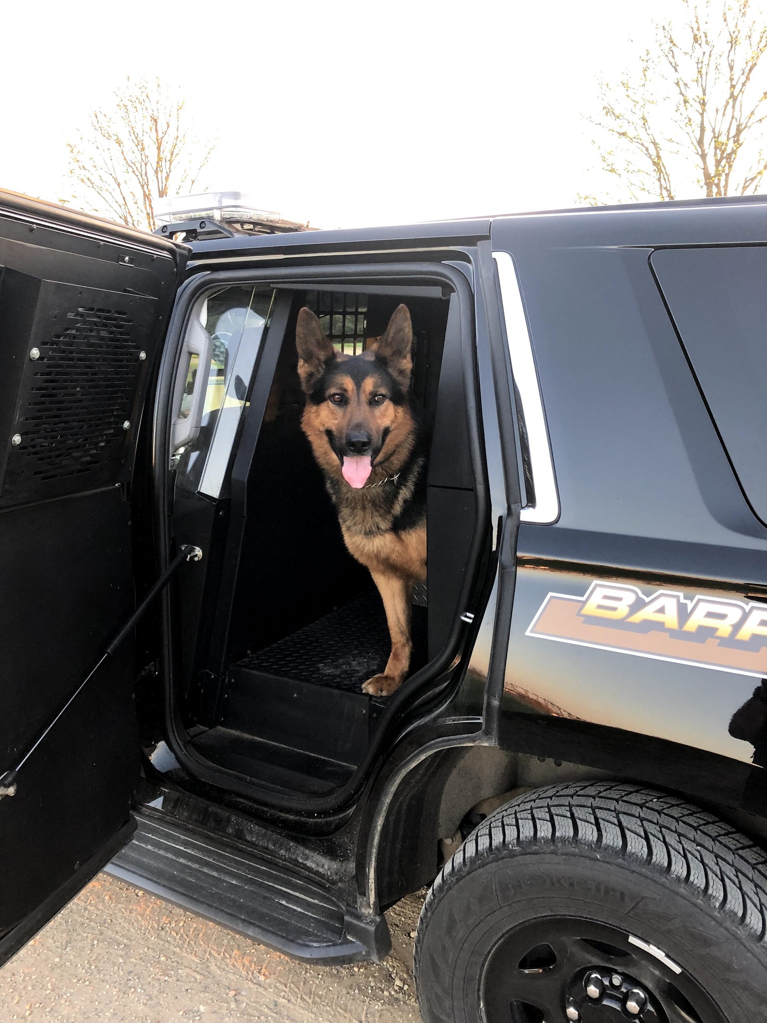 Barry County K9 Grizzly