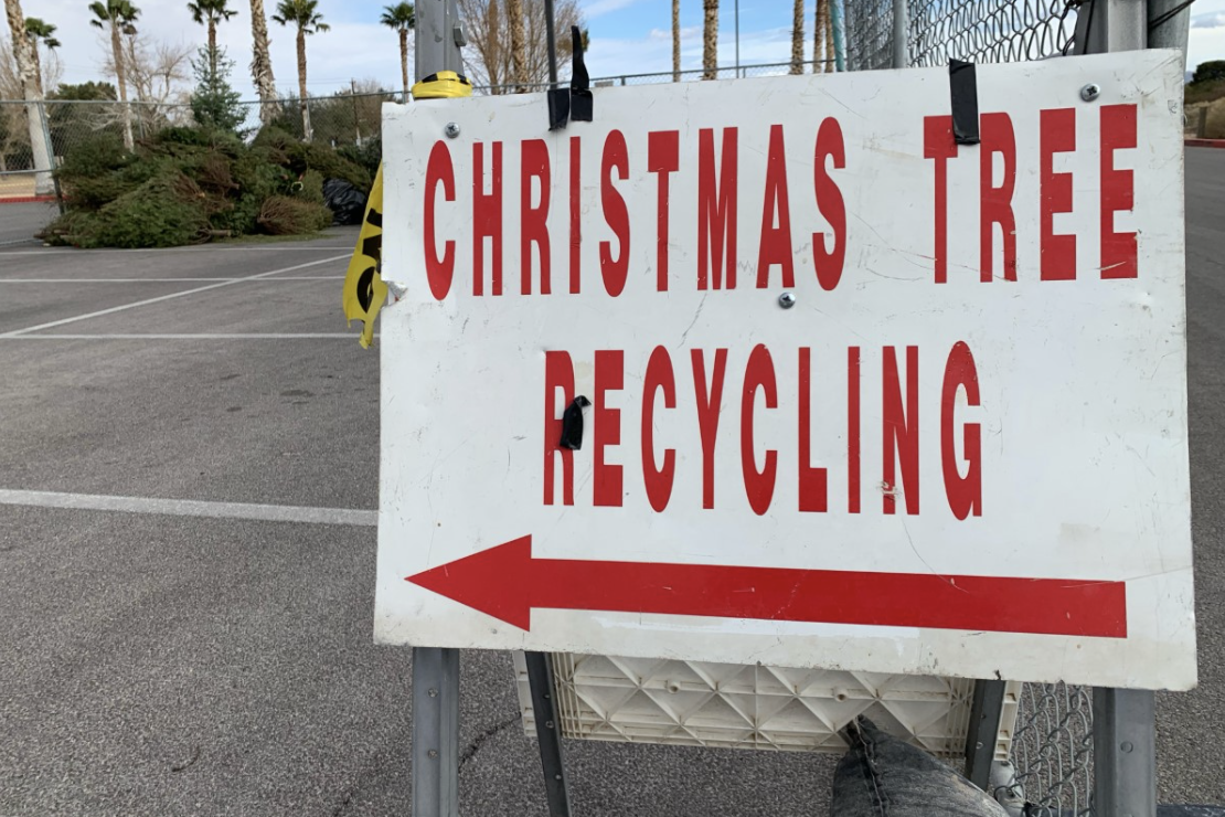 Christmas tree recycle