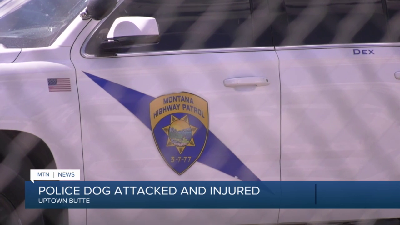 K9 injured in Butte
