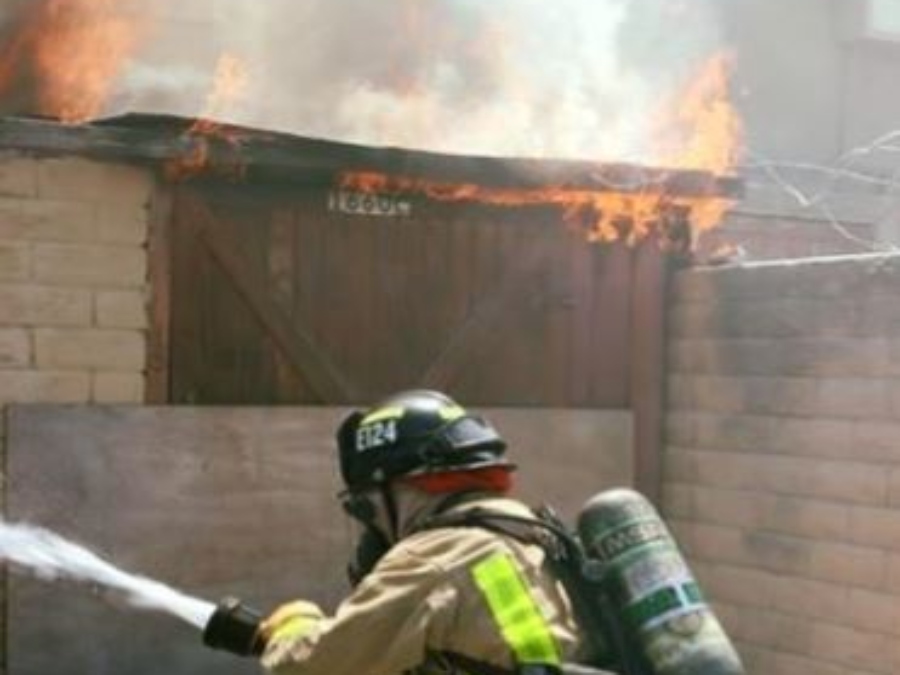jumping_turtle_san_marcos_fire.jpg