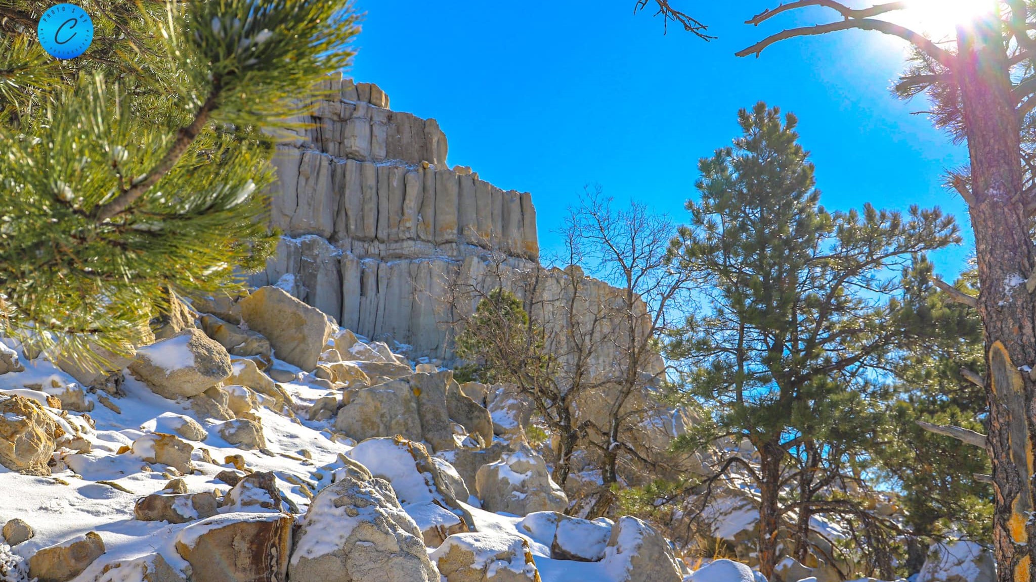 Carter Chavez pulpit rock and trees