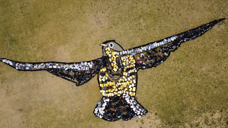 Meadowlark Elementary students take flight as living art - Vimarsana News