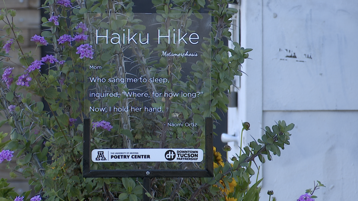 Downtown Tucson Haiku Hike