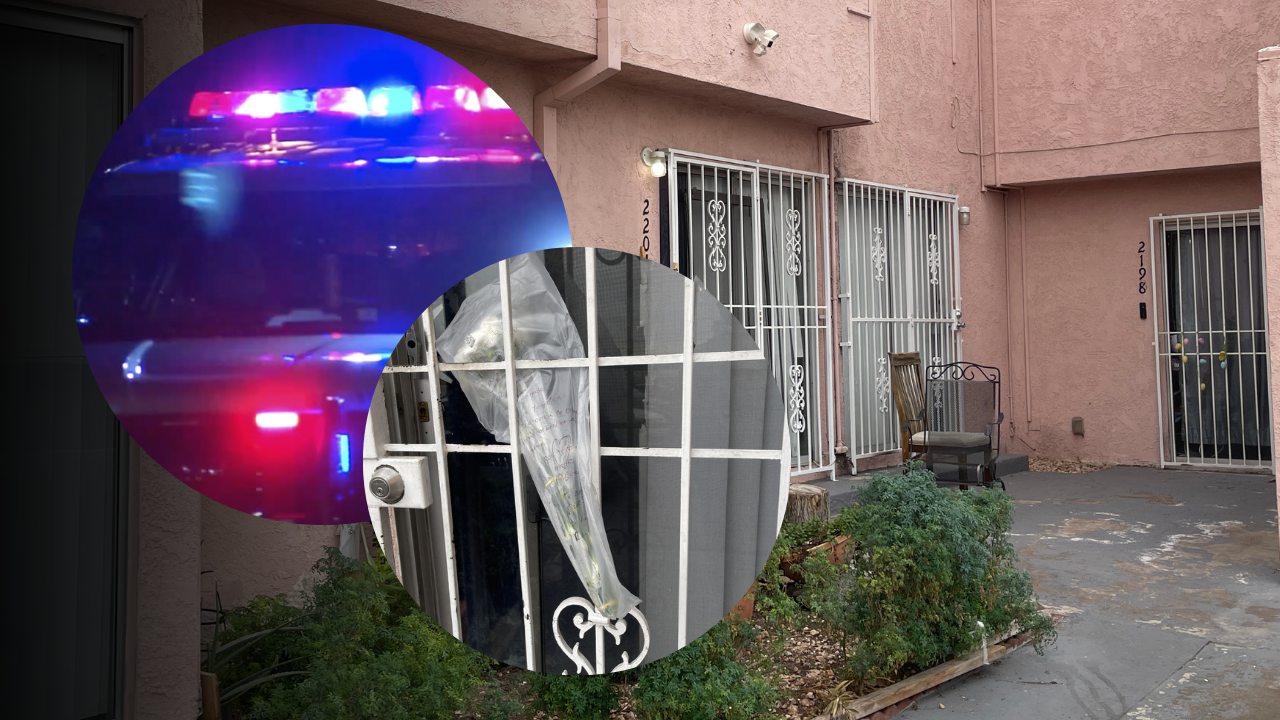 Man arrested for grandmother's stabbing death, latest in string of domestic violence in the valley