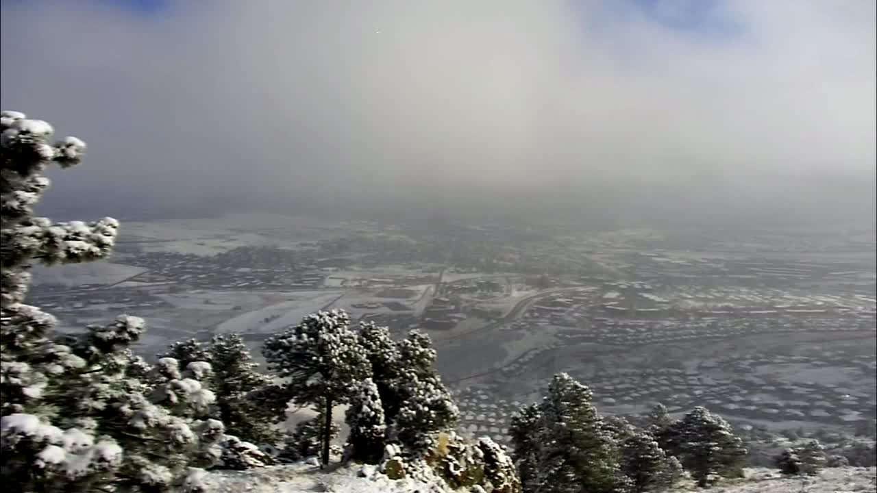 poster - 2019-11-11T105730.378.jpg