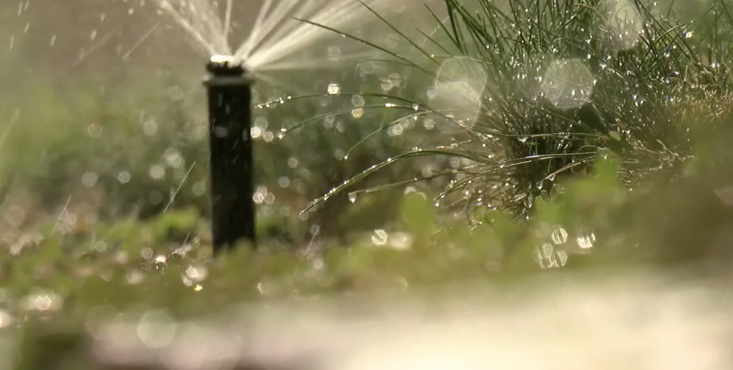 water sprinkler