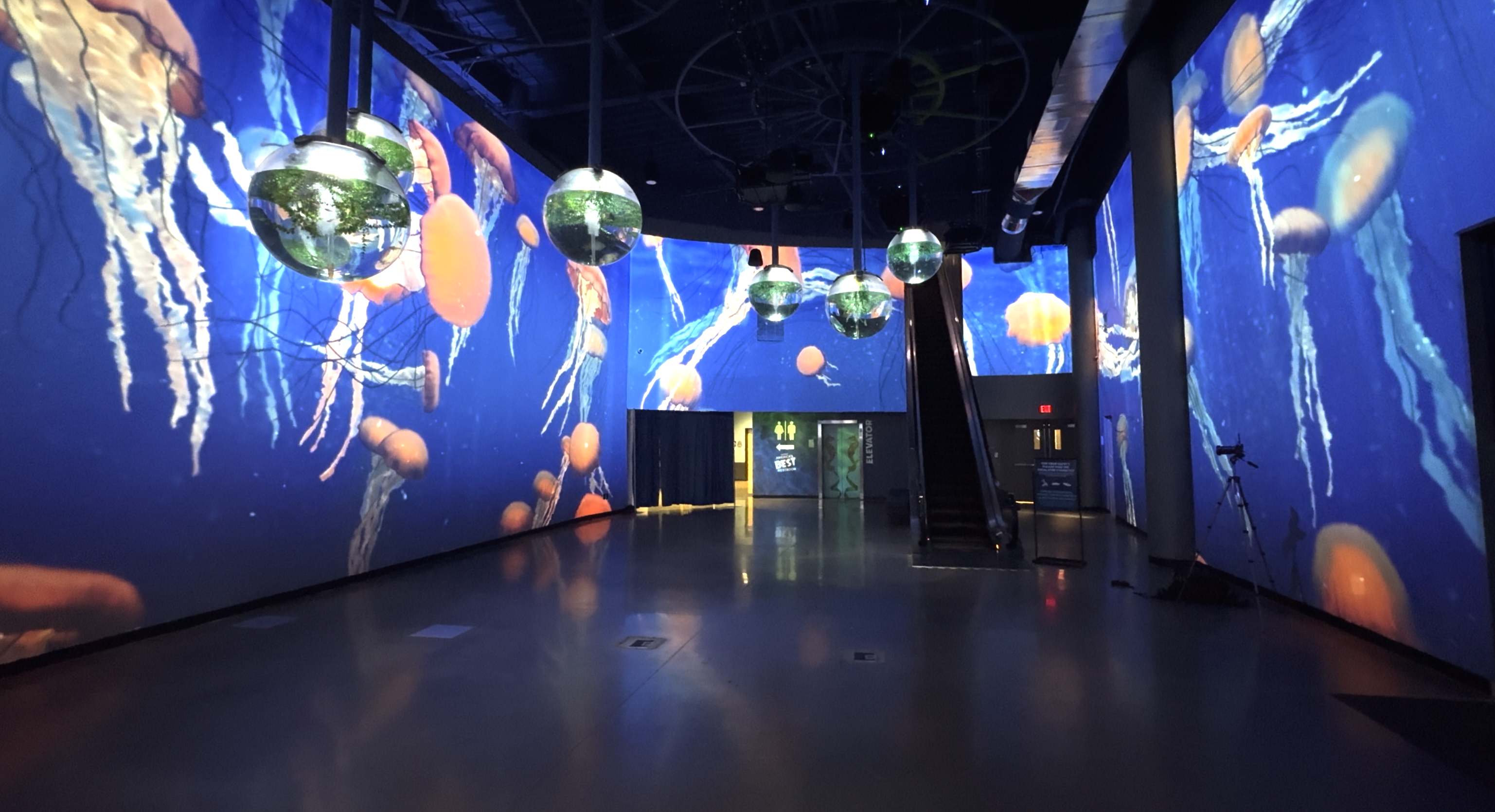 Aqua Lobby at OdySea Aquarium.png