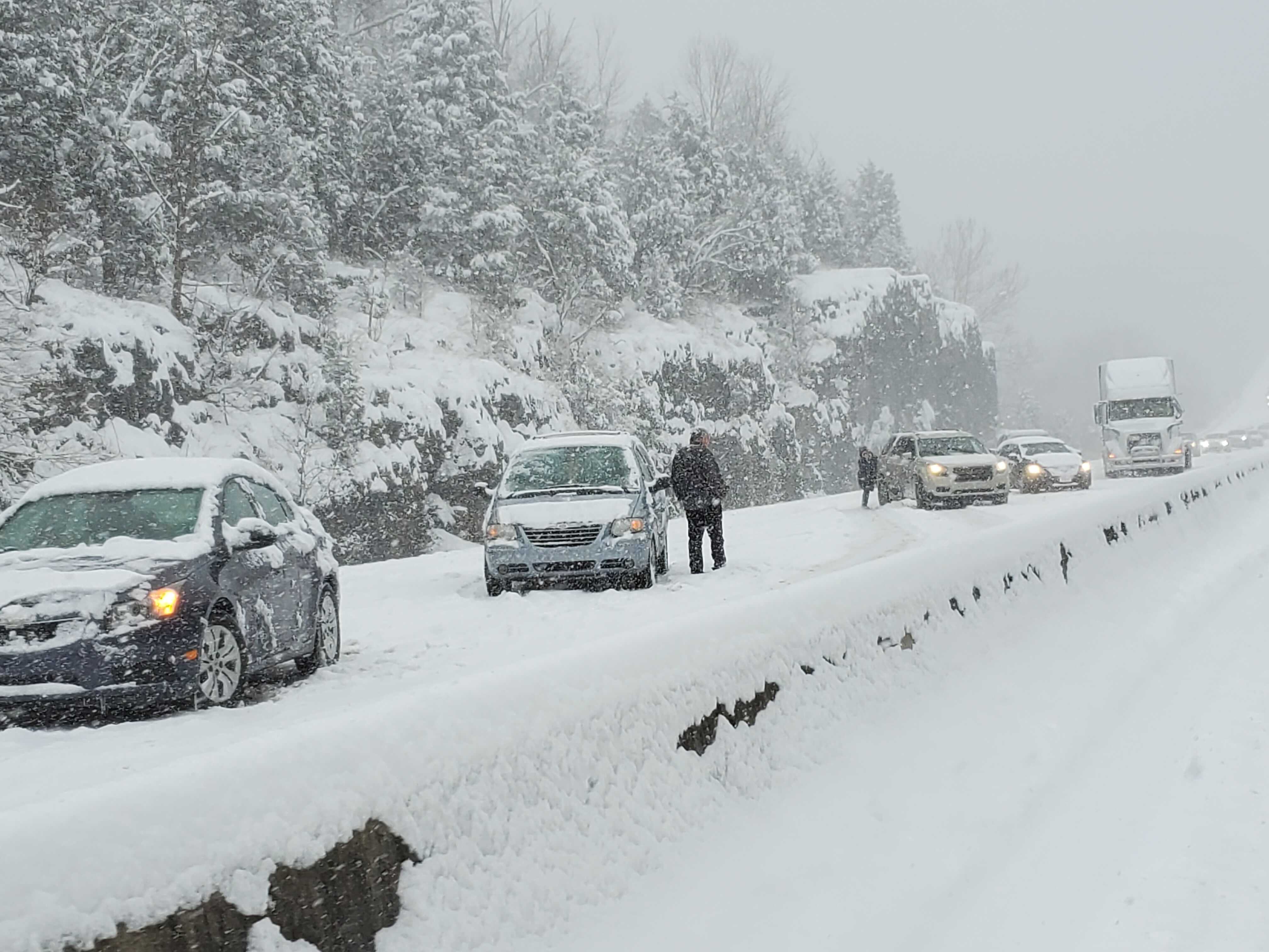 Image from iOS - 2022-01-06T175745.386.jpg