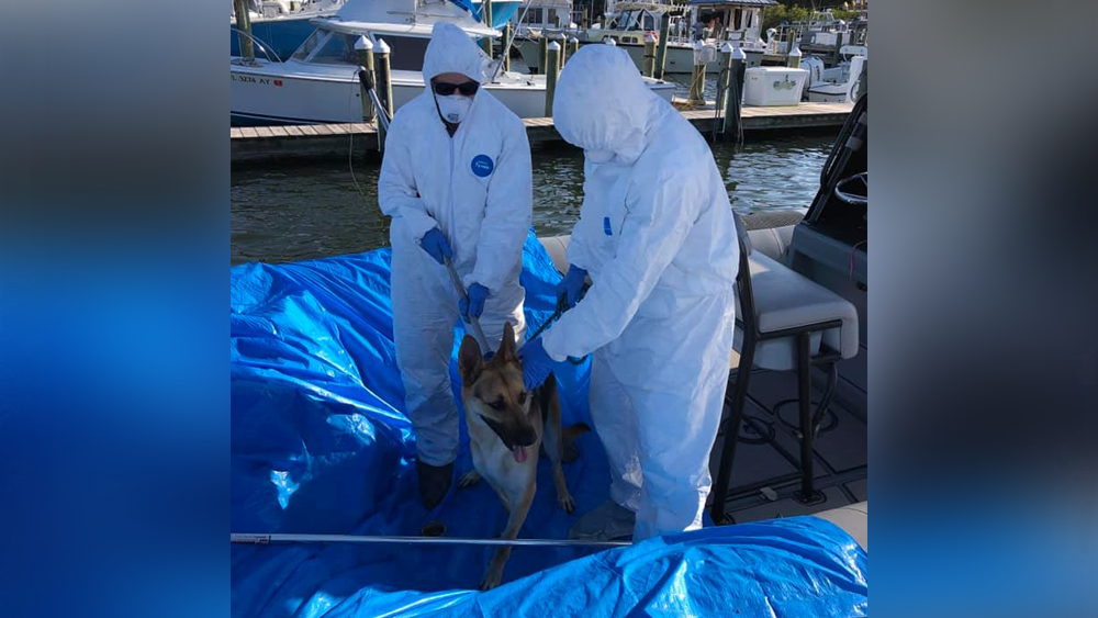 deputies-rescue-dog-from-boat-after-owner-gets-covid19.png