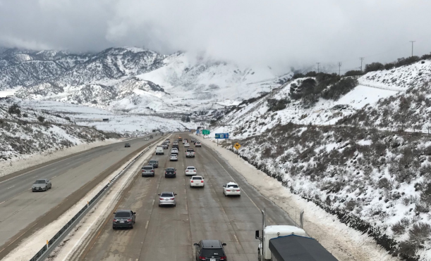 grapevine snow