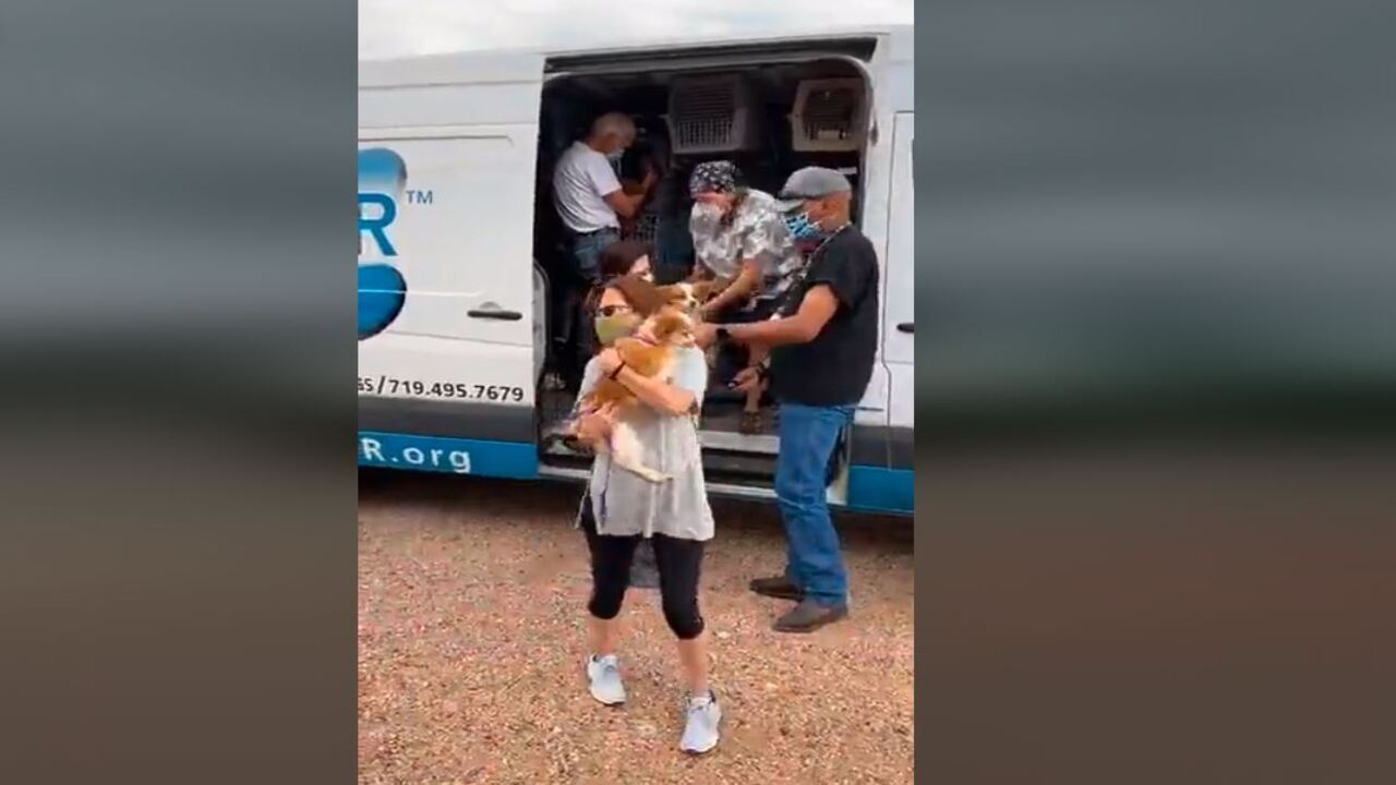 National Mill Dog Rescue welcomes 48 new dogs